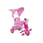 Triciclo per Bambini con Cappottina Rosa Colibri – 119004